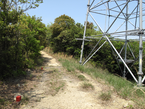 20140426hike (73)